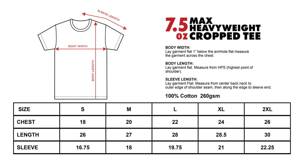 S. Raimi - Spider Man Two Side Graphic Tee